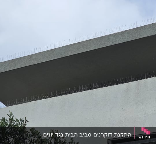 התקנת גדר נגד יונים
